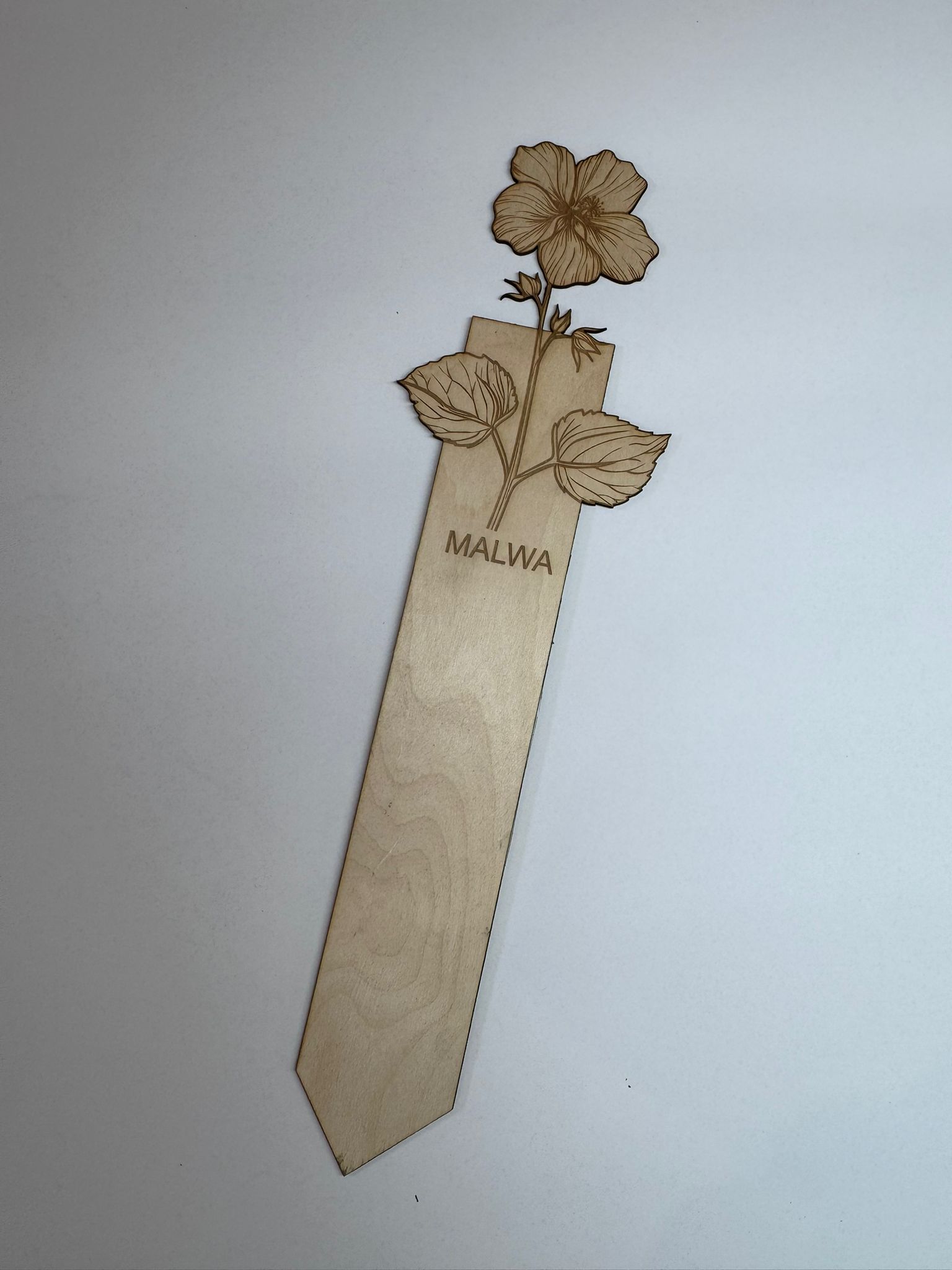 WhatsApp Image 2026-03-16 at 15.48.46 (1)